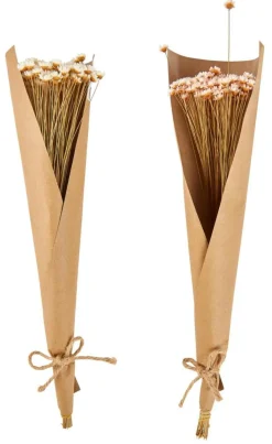 ACTINO Fiori Secchi Rosa|CASA