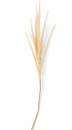 ADDO Vaso Crema|CASA