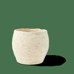 ALVIN Cesto Portatutto Con Coperchio Marrone, Naturale|CASA Outlet