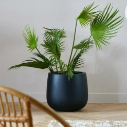 ARECA Palma Verde|CASA Best