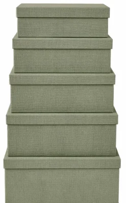 BIGSO Portaogg Cassetto 5 Parti Menta|CASA New