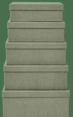 BIGSO Scatola Portat XS Menta|CASA