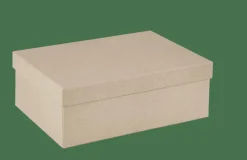 BIGSO Scatola Portatutto S Naturale|CASA Outlet