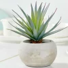 CEMENT Succulente Finto In Vaso Grigio|CASA Online