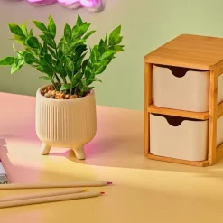 CERA Pianta Artificiale Vari Colori|CASA New