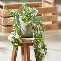 CHRYSANTHEMUM Beige|CASA