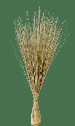 COGON Mazzo Di Erba Naturale|CASA New