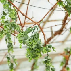 COLLAR Vaso Verde|CASA Discount