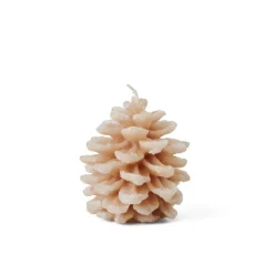 CONE Candela Marrone|CASA Online