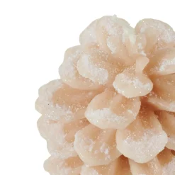 CONE Candela Marrone|CASA Online