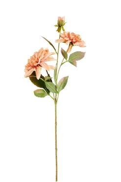 DAHLIA Ramo Fiorito Rosa Pesca|CASA Best