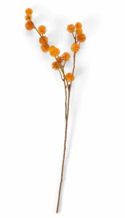 DANDIL Stelo Arancione|CASA Online