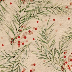 ECO HOLLY Set Di 20 Tovaglioli Multicolore|CASA Clearance