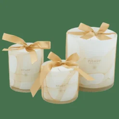 ESCAPE SENSES Candela Profumata Multicolore|CASA New