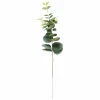 EUCALYPTUS Ghirlanda Verde|CASA Outlet