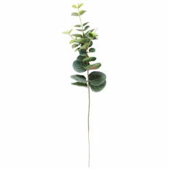 EUCALYPTUS Ghirlanda Verde|CASA Outlet