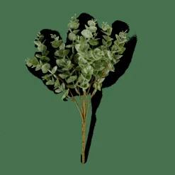EUCALYPTUS Ramo D'eucalipto Verde|CASA Online