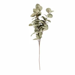 EVA Ramo Floreale Multicolore|CASA