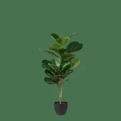 FIGI Nero, Verde Scuro|CASA Online