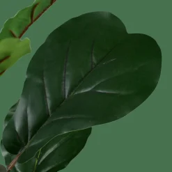 FIGI Nero, Verde Scuro|CASA Online