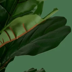 FIGI Pianta Artificiale Vari Colori|CASA Best