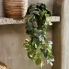 FITTONIA Ghirlanda Di Foglie Verde|CASA Discount