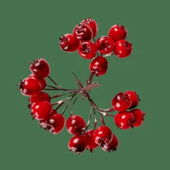 FOAM Decorazione Cinorrodo Rosso|CASA Sale