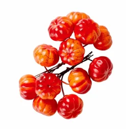 FOAM Ramo Di Melograno Rosso|CASA Best