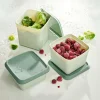 FREEZER Scatole X Freezer Set Di 10 Menta, Verde Scuro|CASA Clearance