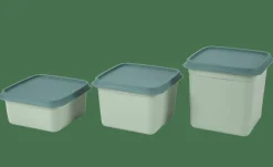 FREEZER Scatole X Freezer Set Di 10 Menta, Verde Scuro|CASA Clearance