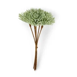 FROST Larice Bianco|CASA Hot