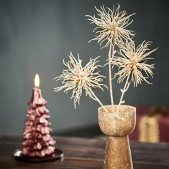 GOLDY Cardo Oro Champagne|CASA Best