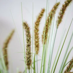 GRASS Mazzo Di Erba Verde|CASA Sale