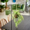 GREENERY Vaso Sospeso Con Felce Verde|CASA New