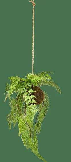 GREENERY Vaso Sospeso Con Felce Verde|CASA New