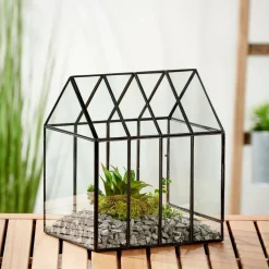 GREENHOUSE Serra Minuscola Trasparente|CASA Outlet