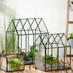 GREENHOUSE Serra Minuscola Trasparente|CASA Outlet
