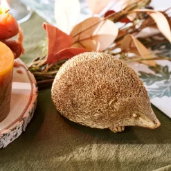 HEDGEHOG Riccio Dorato|CASA Clearance