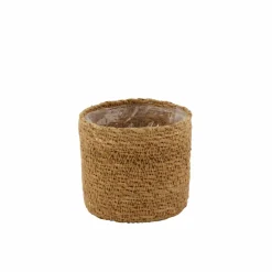 HERBA Erba In Vaso H120cm Verde|CASA Best