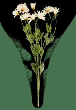 INDI Ramo Fiorito Crema|CASA Discount