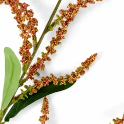 KENDI Vaso Arancione|CASA