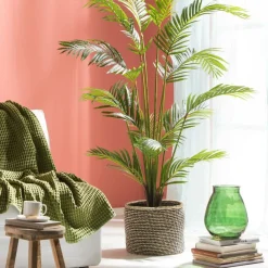 KWAI Palma Verde|CASA Online