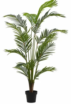 KWAI Palma Verde|CASA