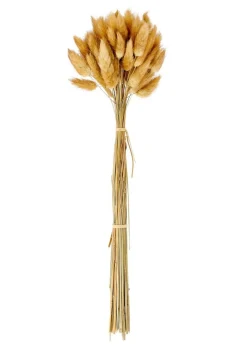 LAGURUS Piumino Marrone|CASA New