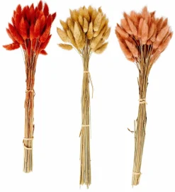 LAGURUS Piumino Naturale|CASA Hot