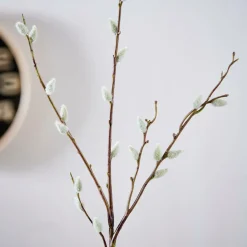 LAGURUS Piumino Naturale|CASA Hot