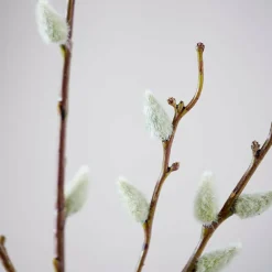 LAGURUS Piumino Naturale|CASA Hot