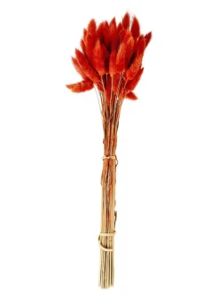 LAGURUS Piumino Rosso|CASA Online