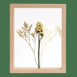 LIMONIUM Decorazione Da Parete Naturale|CASA Online