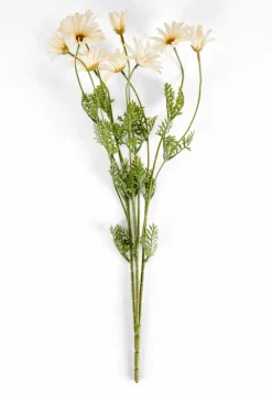 LINDE Vaso Beige|CASA Hot